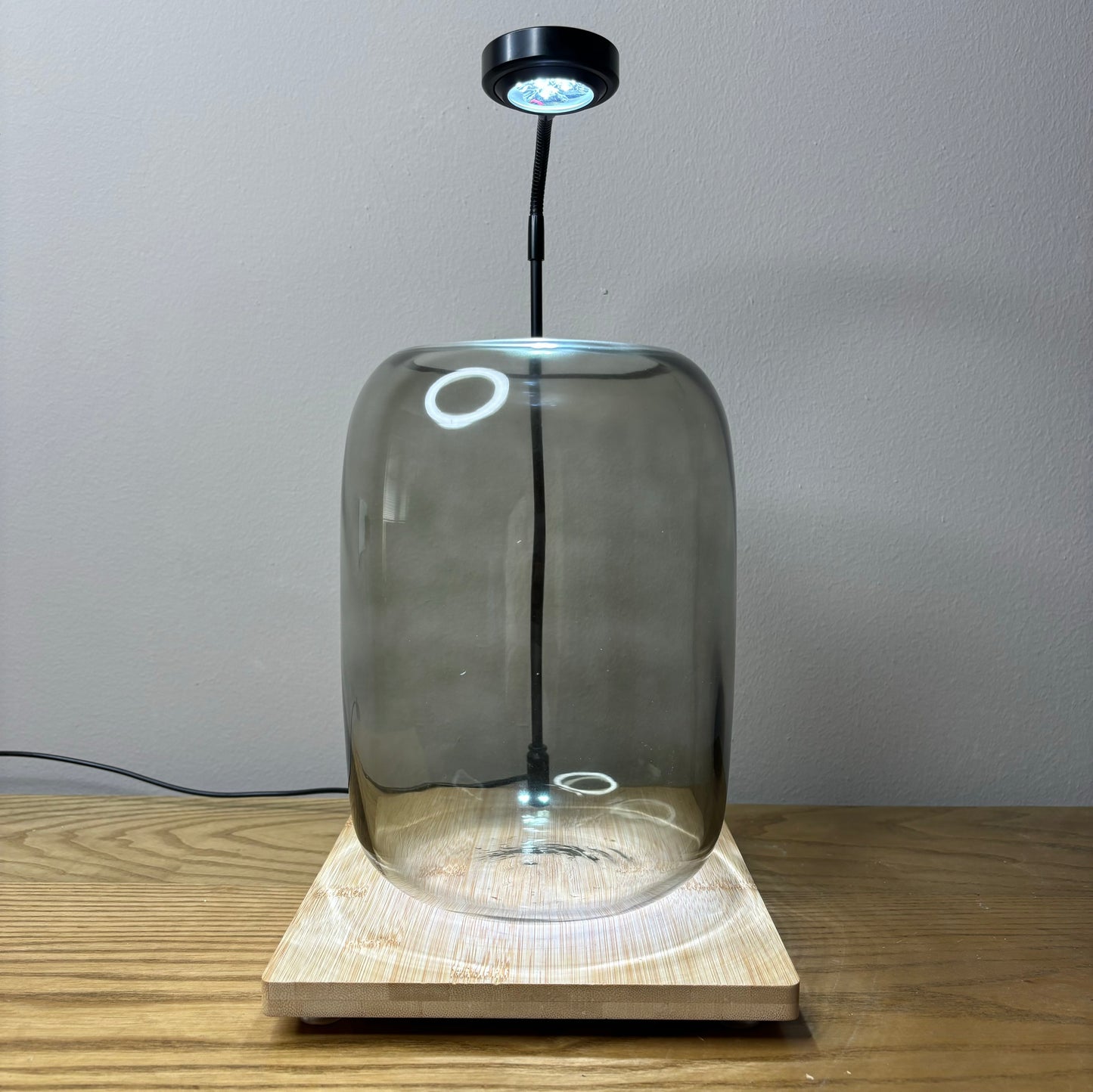 Sky Terrarium™ Tree Of Life