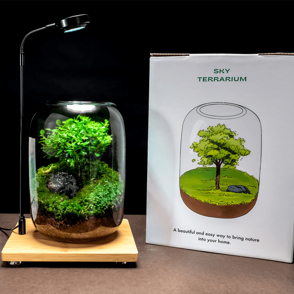 Sky Terrarium™ Tree Of Life - Sky Terrarium