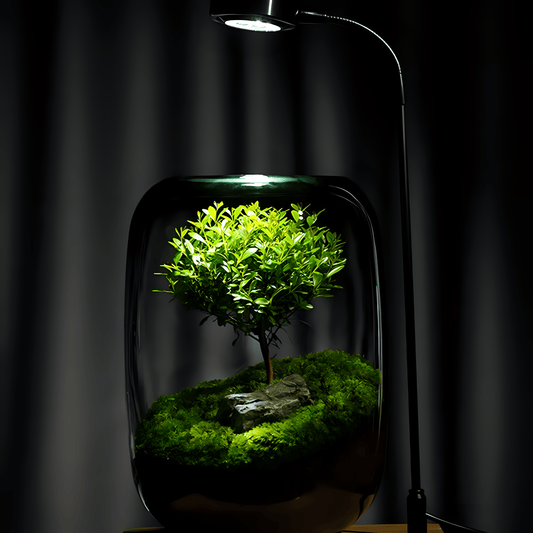 Sky Terrarium™ Tree Of Life - Sky Terrarium