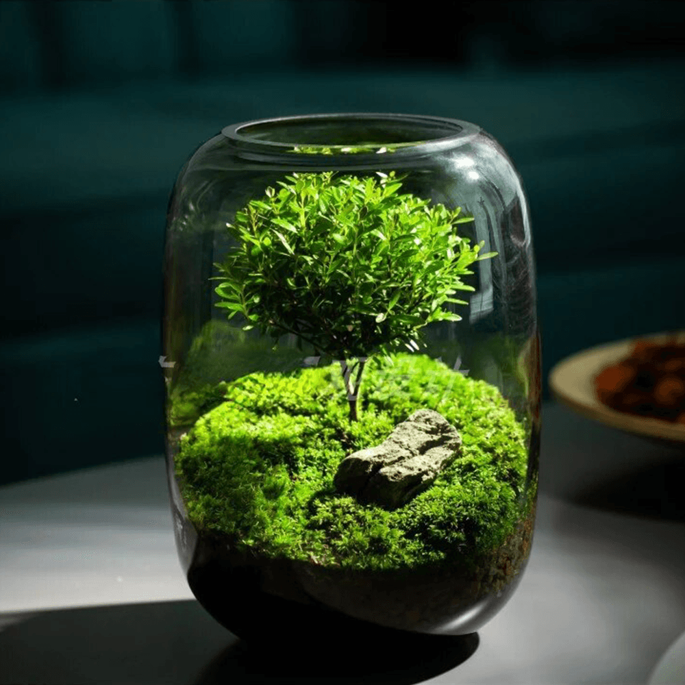 Sky Terrarium™ Tree Of Life - Sky Terrarium